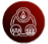 Mission Icon
